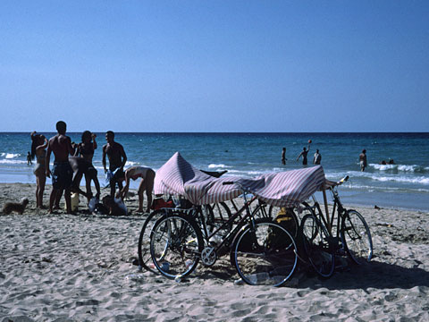 浜辺で遊ぶ人々