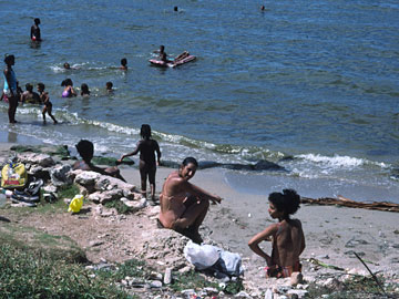 海辺で遊ぶ人々
