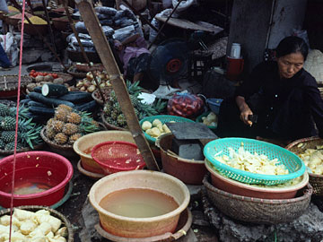 タケノコを処理して売る