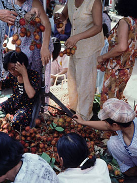 ランブータンの大安売り