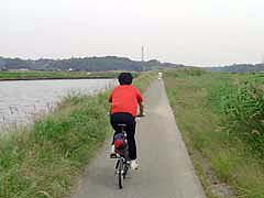 印旗沼近くの自転車道