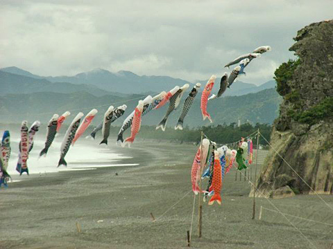 海岸の鯉のぼり