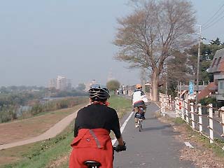 桂川の自転車道