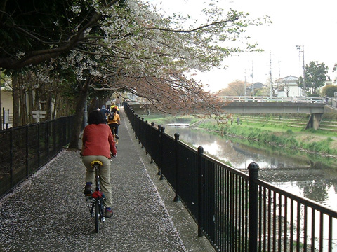 野川サイクリングロード