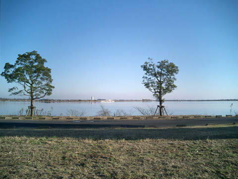 谷中湖