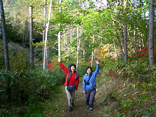 森の中をハイキングするミワプッチとサリーナ