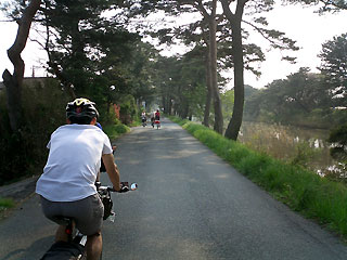 北上運河沿いの奥松島自転車道