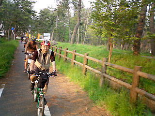 松林と自転車道