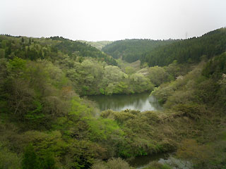 県民の森の池