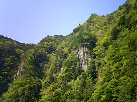 柱状節理の岩肌