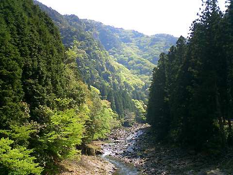 渓流となった青蓮寺川