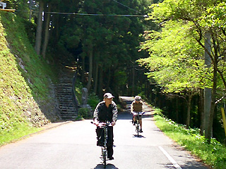 栂坂峠からの下り