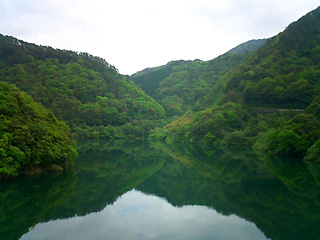 阿武川ダム付近の眺め