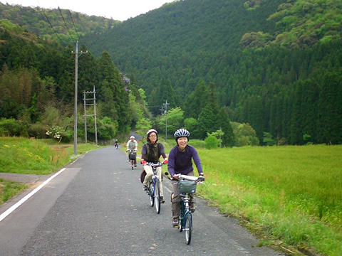 麦畑の中を行く