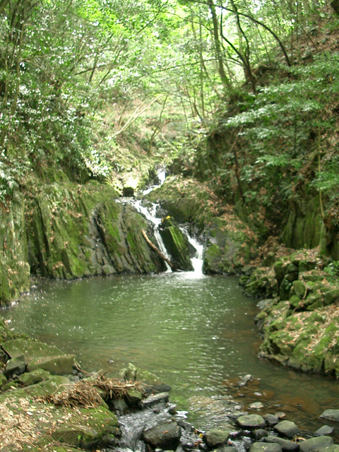石柱渓の小滝