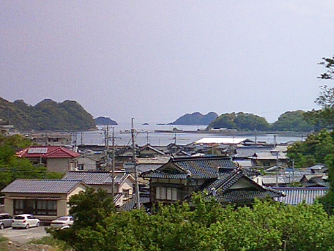 野波瀬