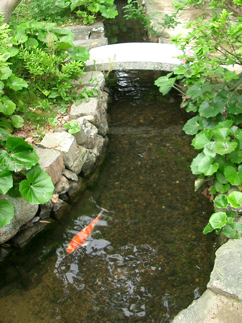 庭に導かれた流れ