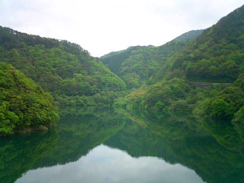 大藤大橋から見る阿武川