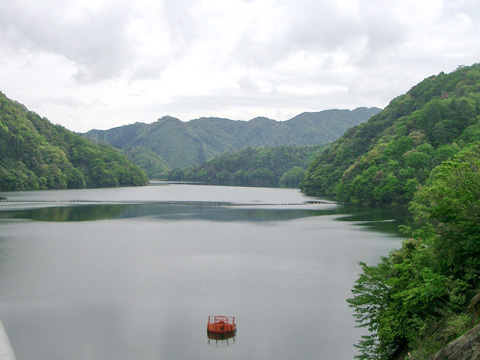 阿武川ダム付近の眺め