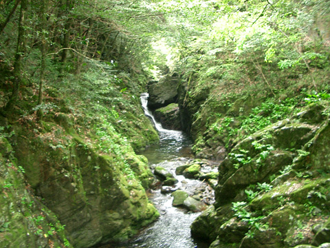 龍宮淵から奥へ続く流れ