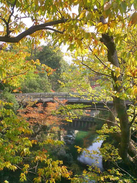 猿橋と桂川の紅葉