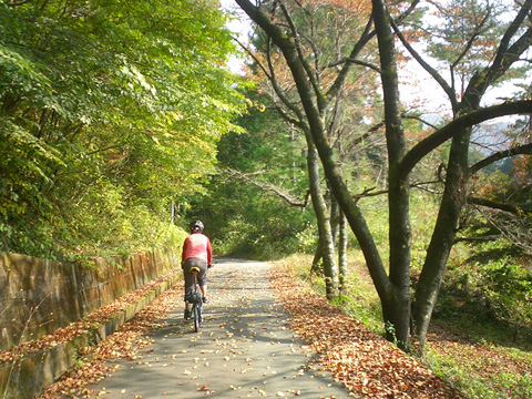 落ち葉の中を行く