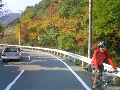 紅葉とサリーナ