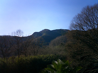 小倉城跡を抱える山