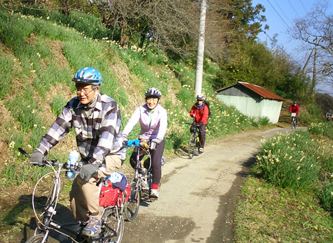 水仙の中を上る