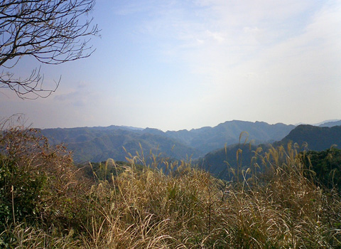 保田見林道頂上
