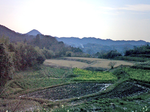 大崩から南を望む