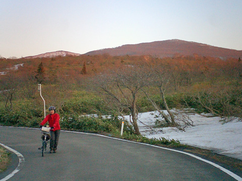 頂上付近の景色
