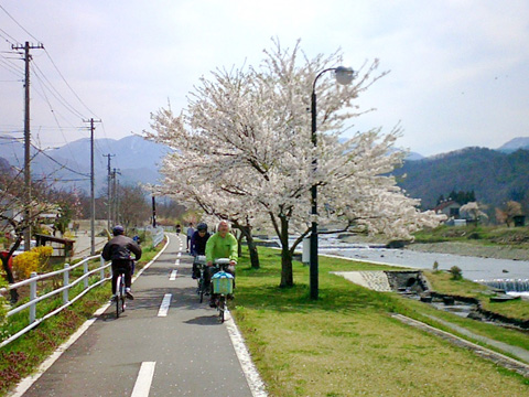 立谷川と桜