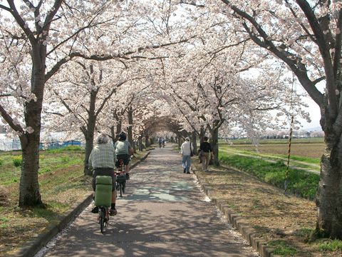 まほろばの緑道