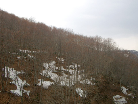雪解けの山