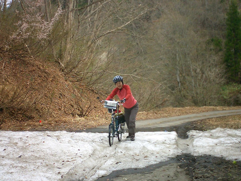 こんなところに雪？