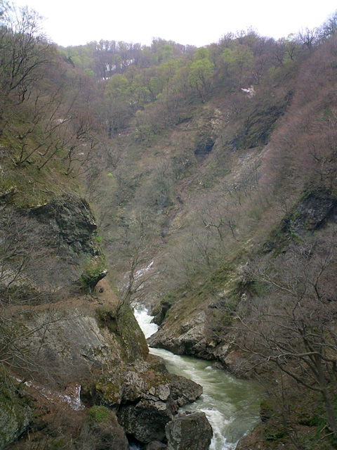 明沢川の小さな見所