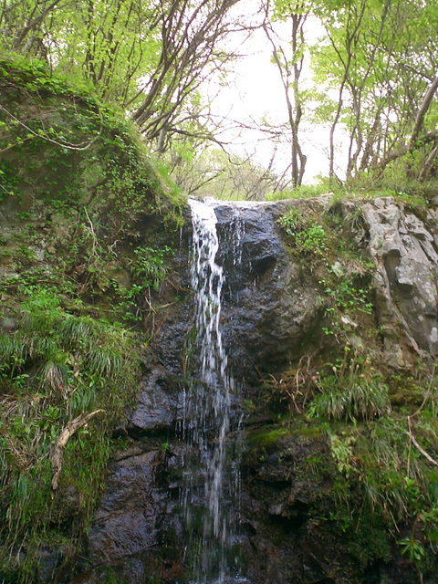 ちっちゃい滝