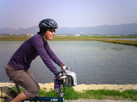 田んぼの中を新潟方面へ向かう