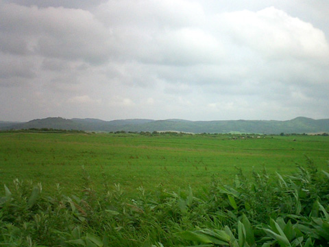 見渡す限りの湿原