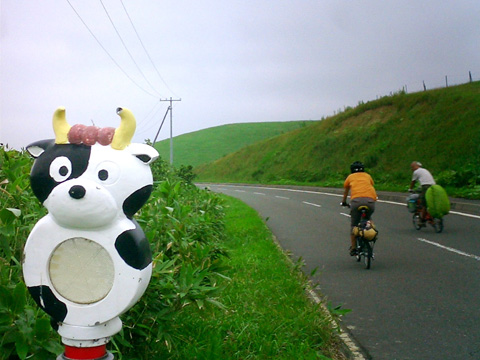 ひょうきん牛の反射鏡
