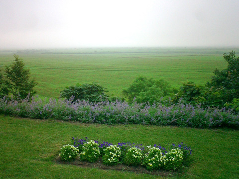 サロベツ原野の朝