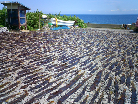 ならんだならんだ利尻昆布