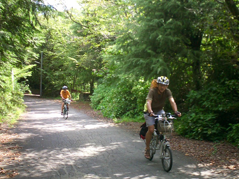 別荘地の激坂のあと