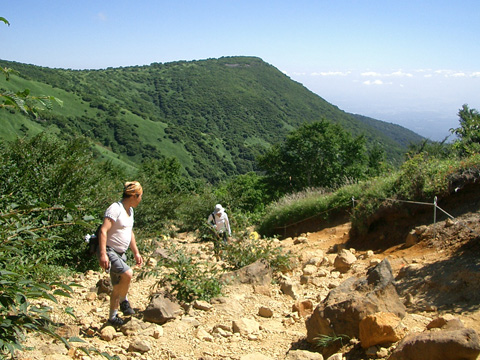 ごろごろ石を行く