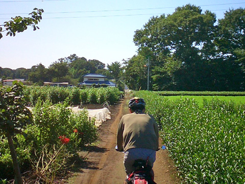 いきなりダートに