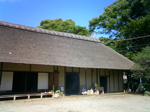 村田川沿いに出る