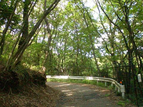 狭山湖周回ルートに入る