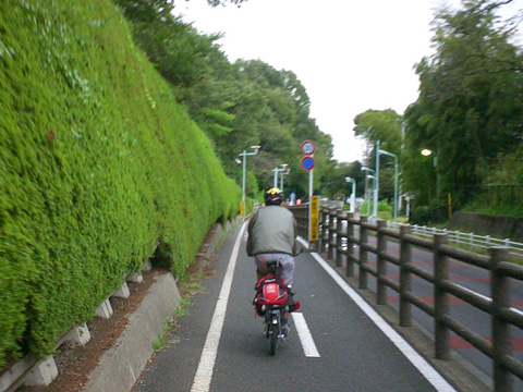 多摩湖自転車道で武蔵大和駅へ