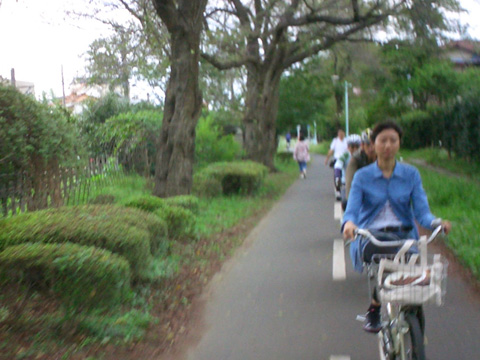 小金井へ向かう多摩湖自転車道